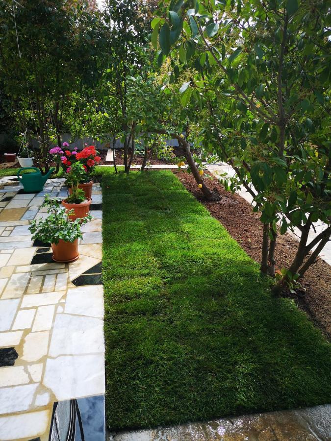 Studio Garden View