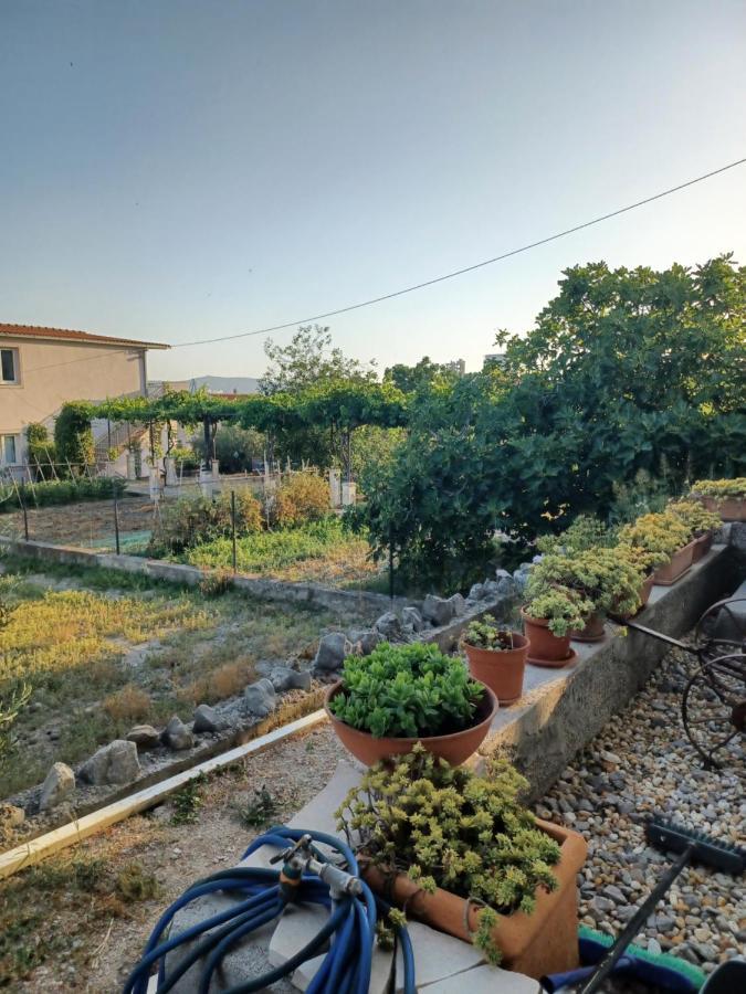 Studio Terrace