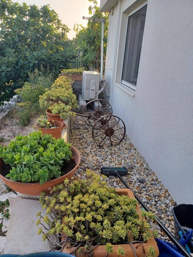 Studio Terrace