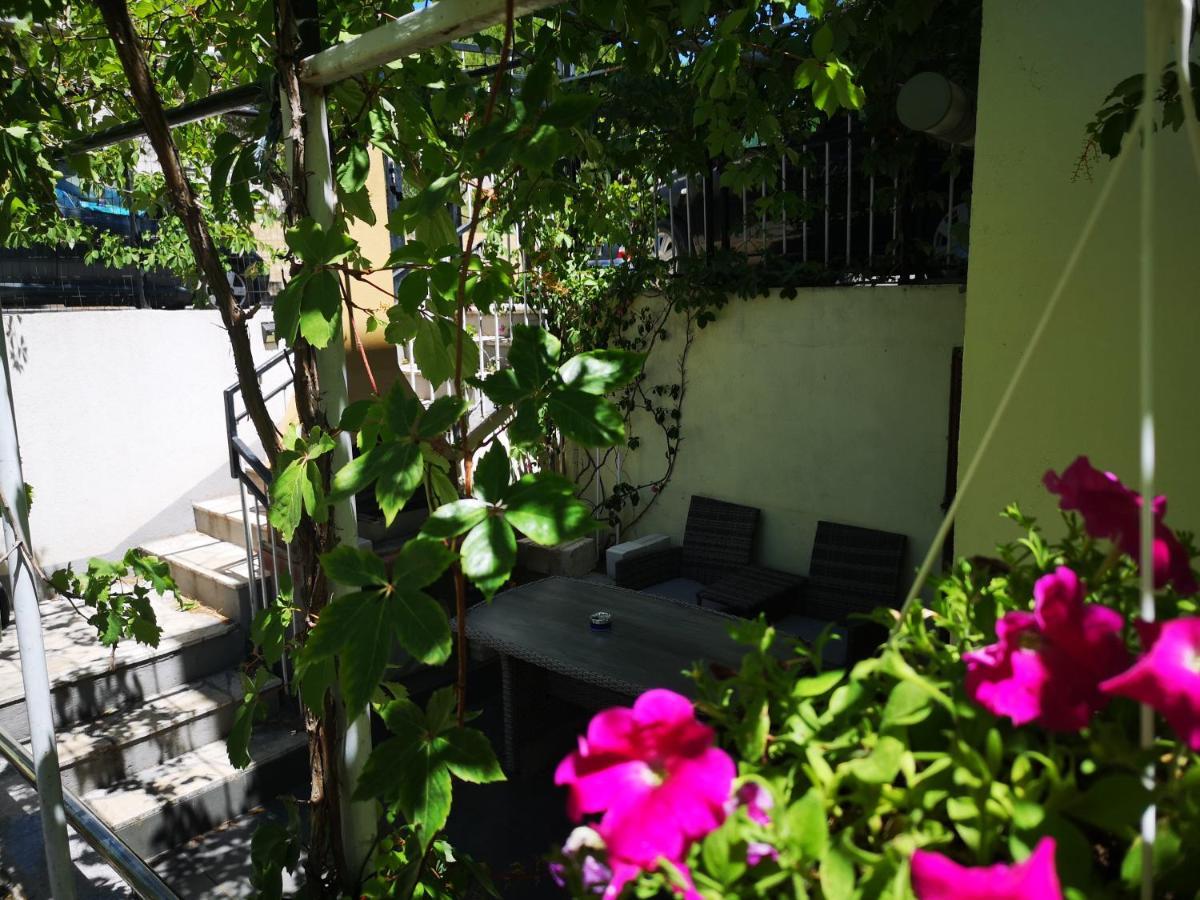Duplex Studio Shared Terrace