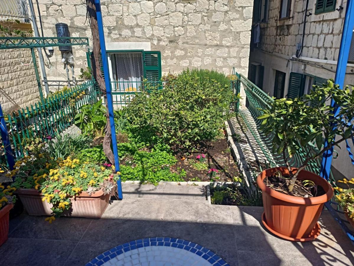 Studio Terrace