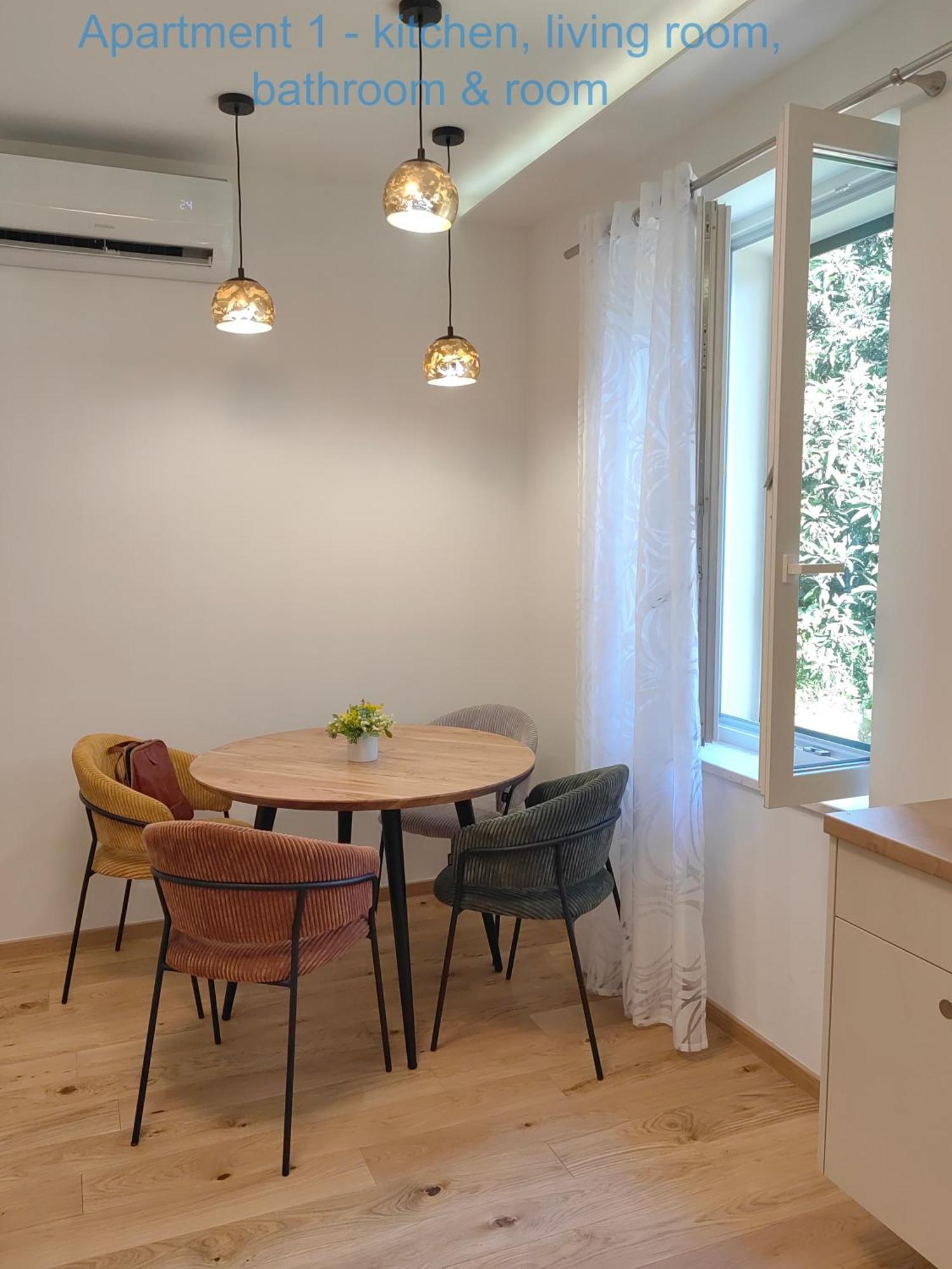 Deluxe One-Bedroom Apartment