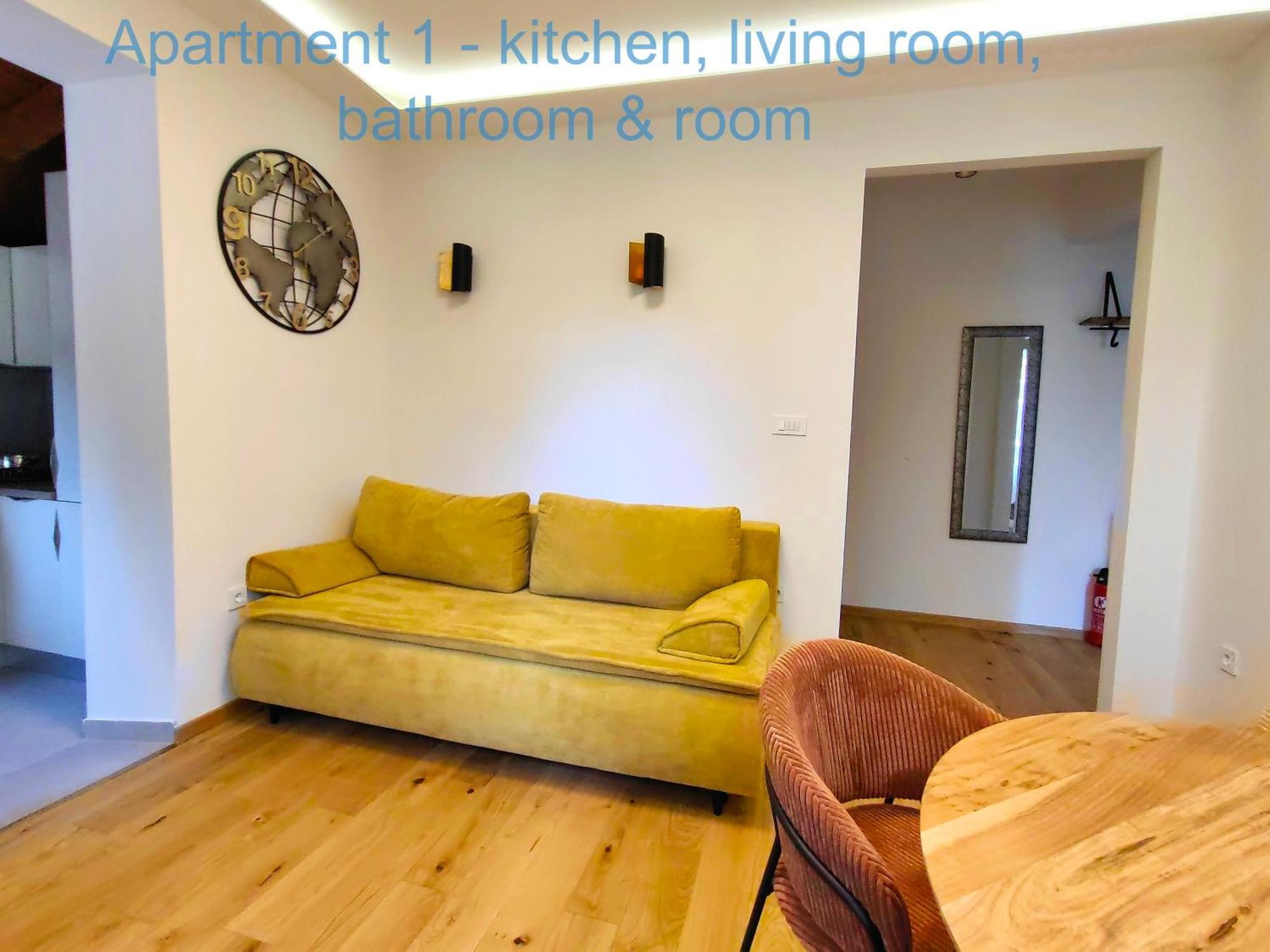 Deluxe One-Bedroom Apartment
