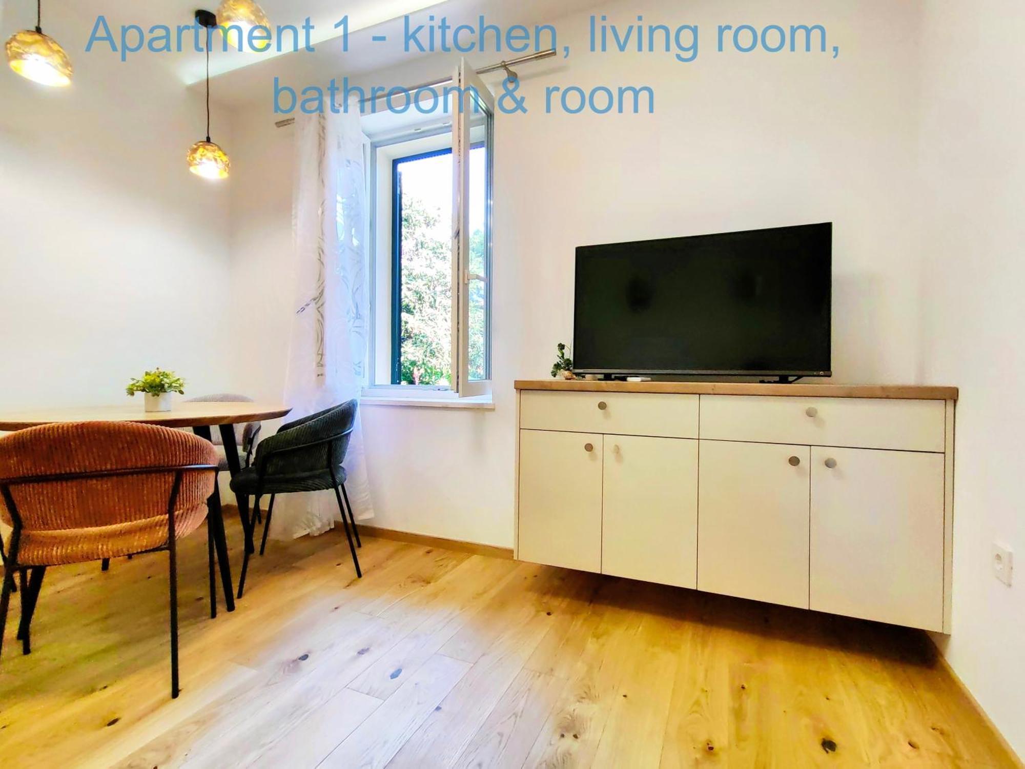 Deluxe One-Bedroom Apartment