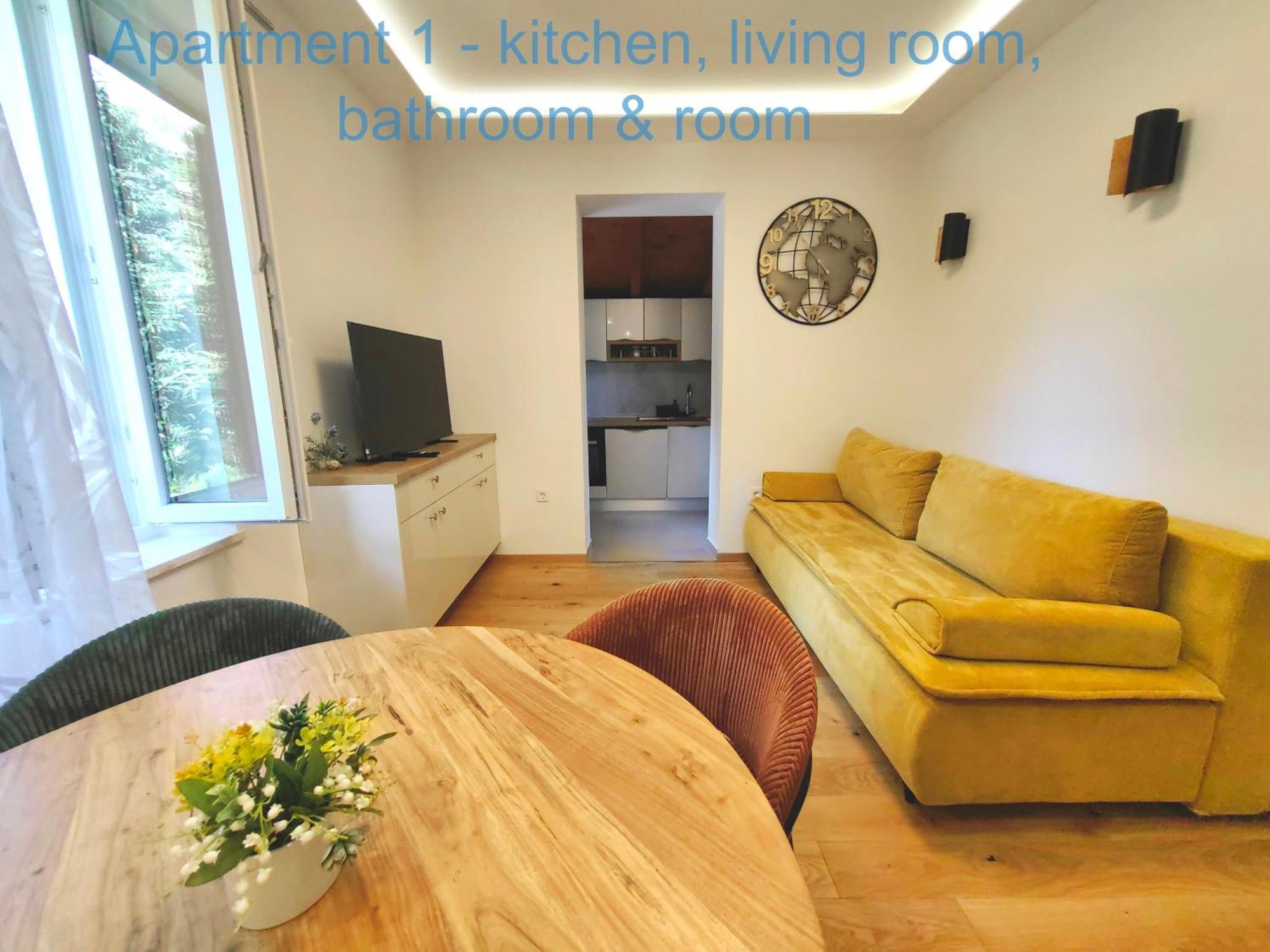 Deluxe One-Bedroom Apartment
