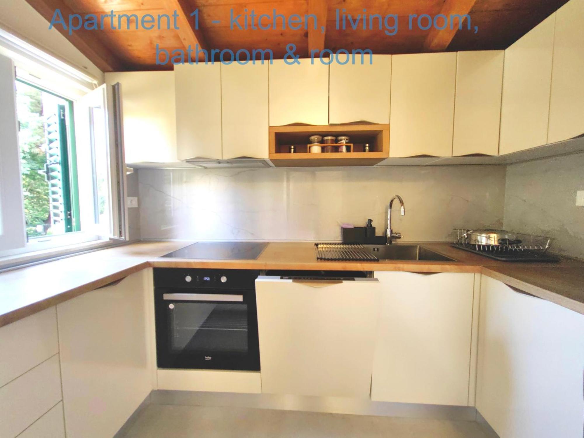 Deluxe One-Bedroom Apartment