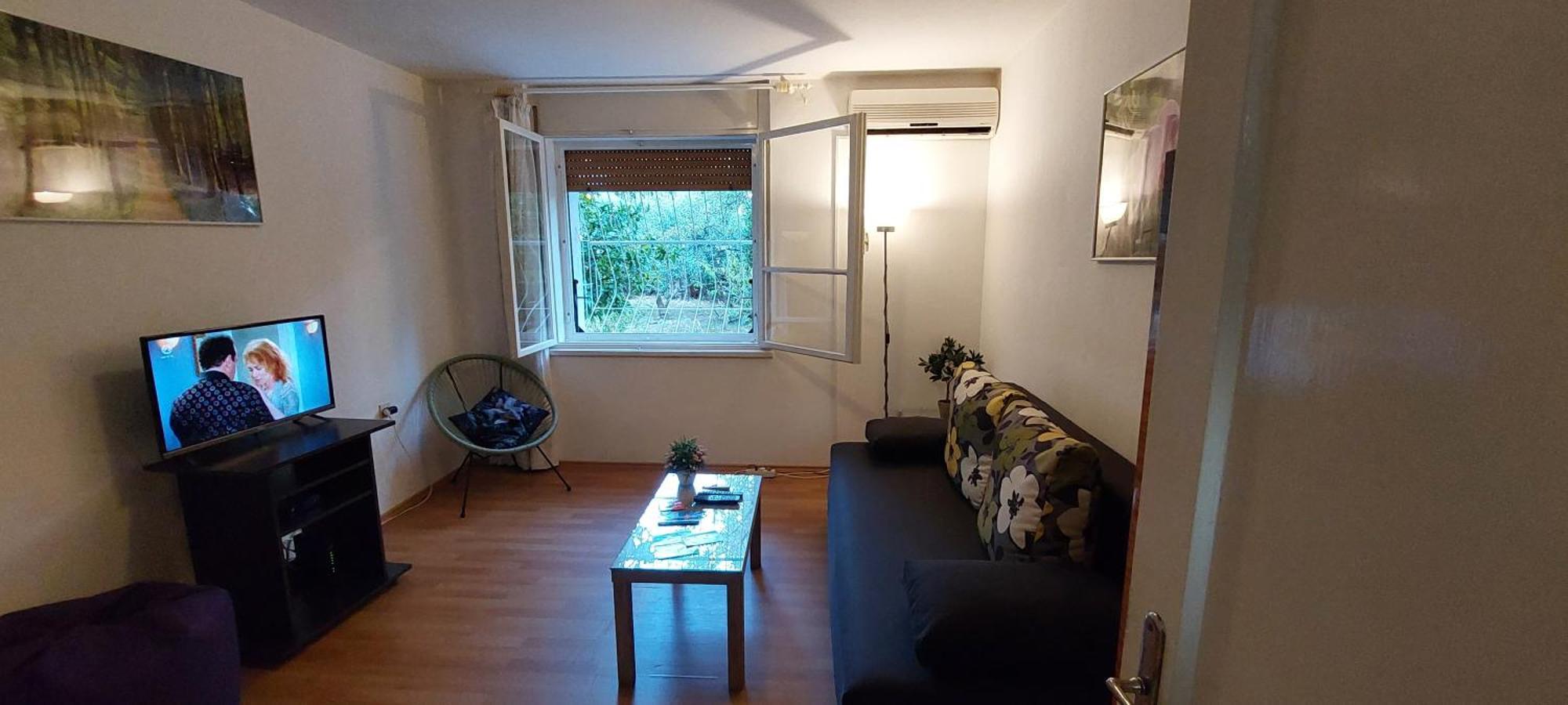 Standard Apartment
