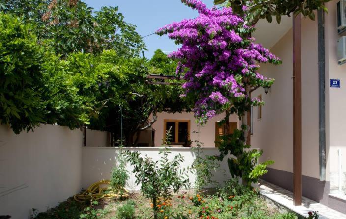 Two-Bedroom Apartment Terrace Roosewelt Street