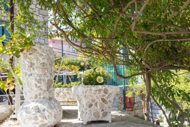 One-Bedroom Apartment Reica Street
