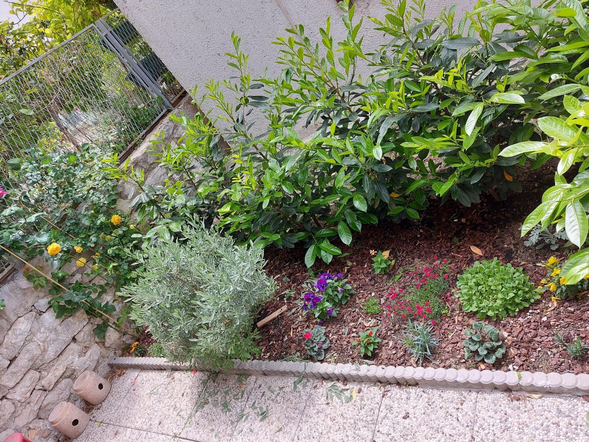 Double Room Terrace