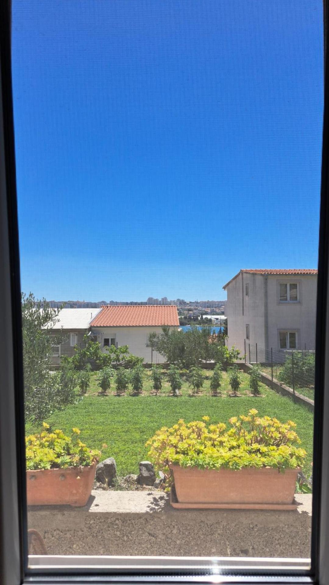 Studio Terrace