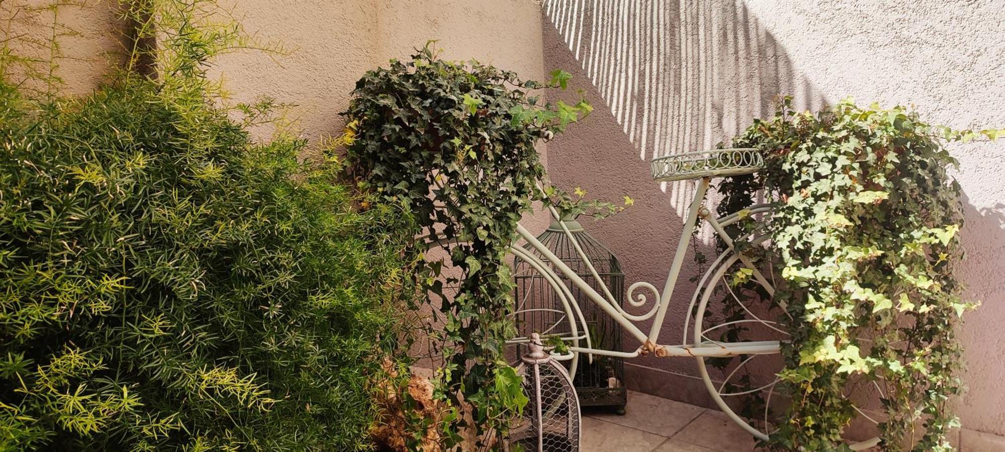 Two-Bedroom Apartment Patio