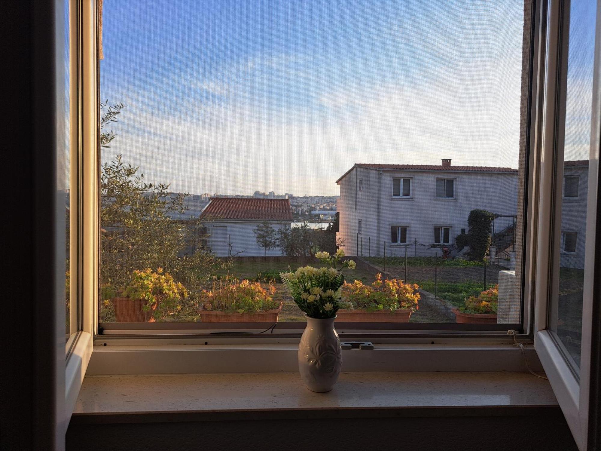 Studio Terrace