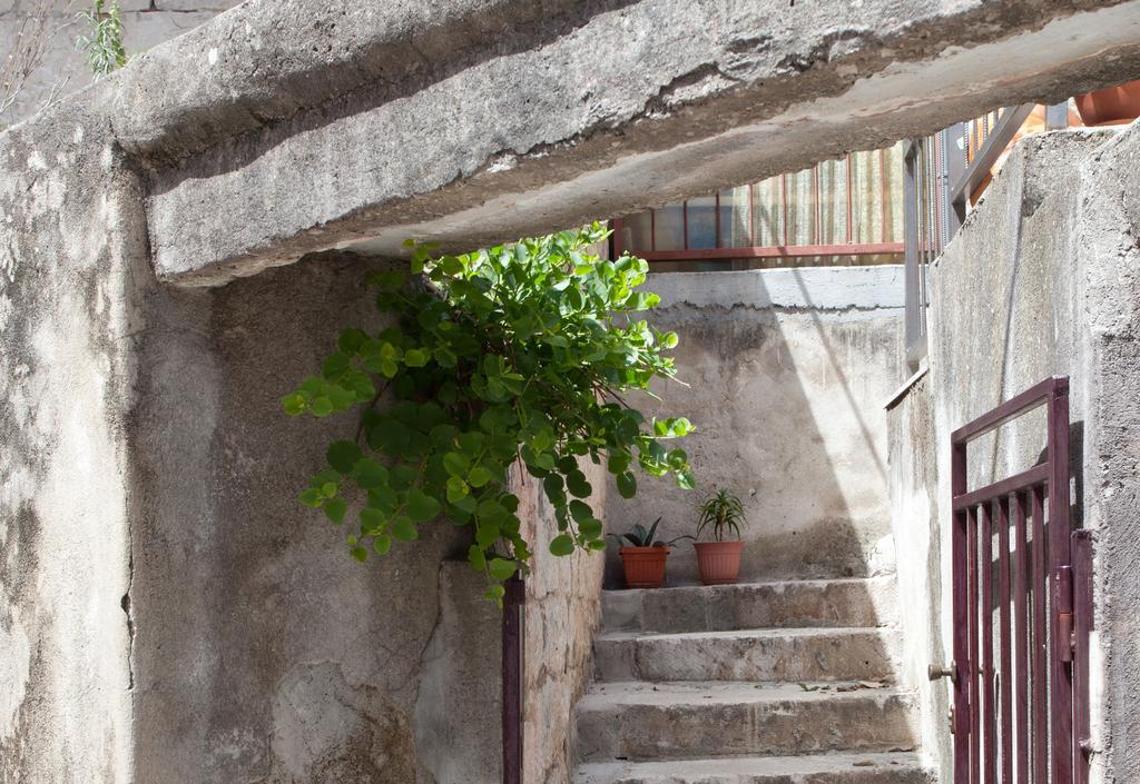 Apartment Terrace