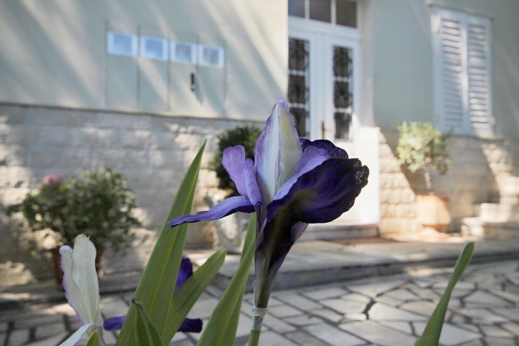 Apartment Ground Floor