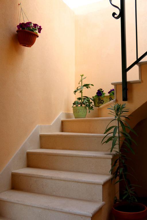 Apartment Terrace