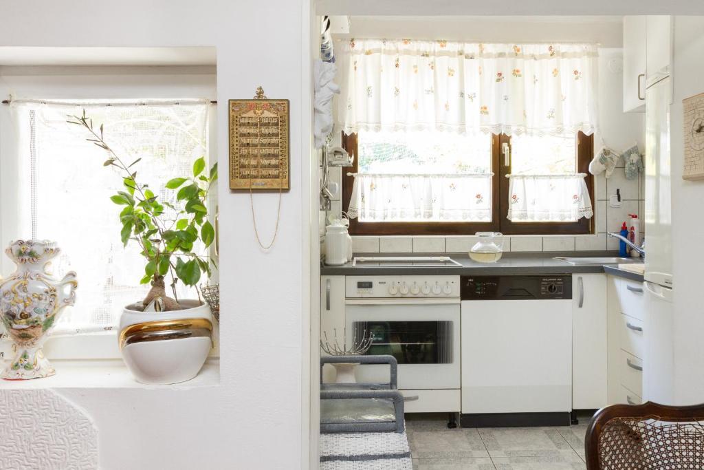 One-Bedroom Apartment Reica Street
