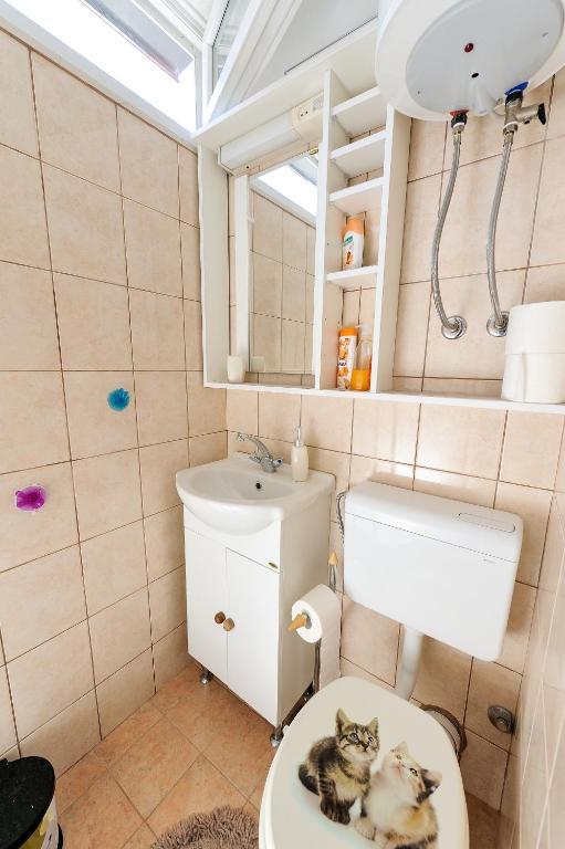 Duplex One-Bedroom Apartment
