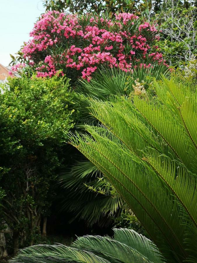 Studio Garden View