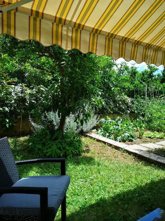 One-Bedroom Apartment Garden View