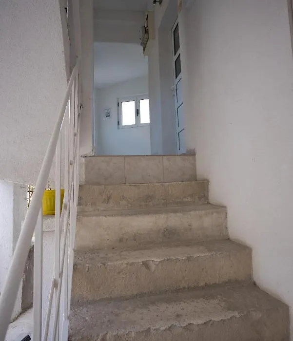 Apartment Fly-1