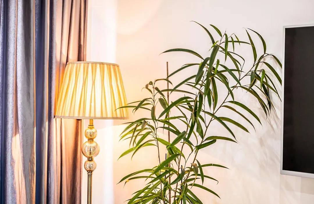 Apartment Lilly-1