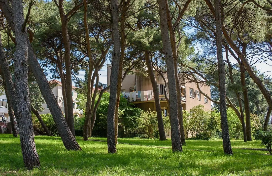 Best Location Apartments-1