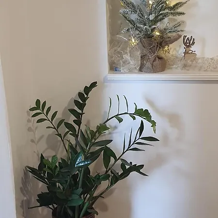 Apartman Lili-2