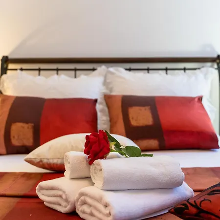 Camellia- Cozy Apartment-3
