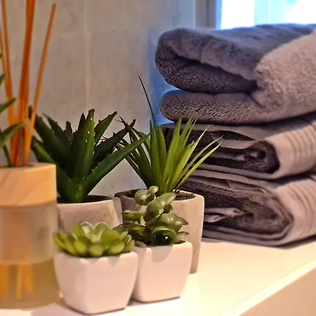 Apartment Reful-3