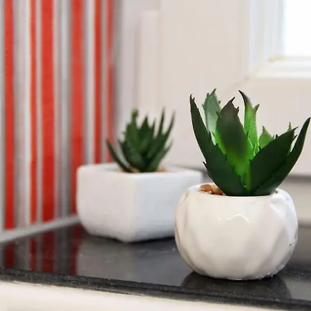 Split Chic Studio-2