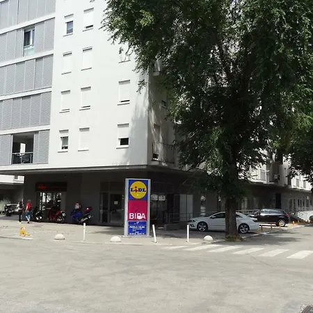 Cvit Jadrana-2