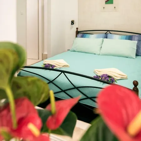 Ibis Your Cosy Oasis With Private Parking And Patio-2