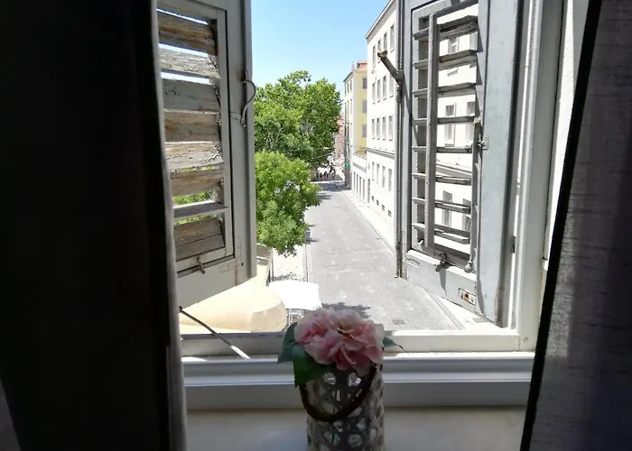 Optimist Split/City Center