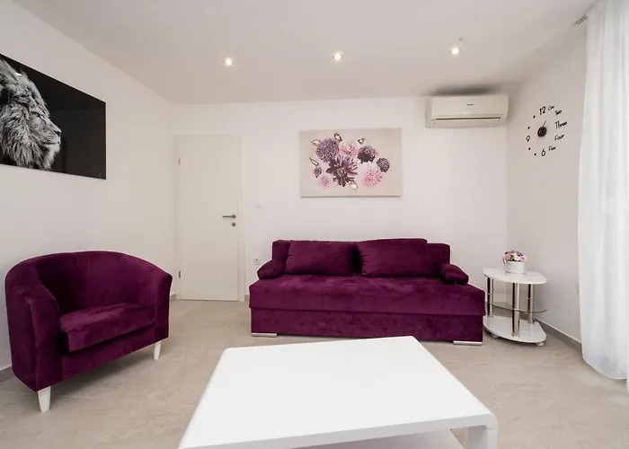 Lions Apartment Split