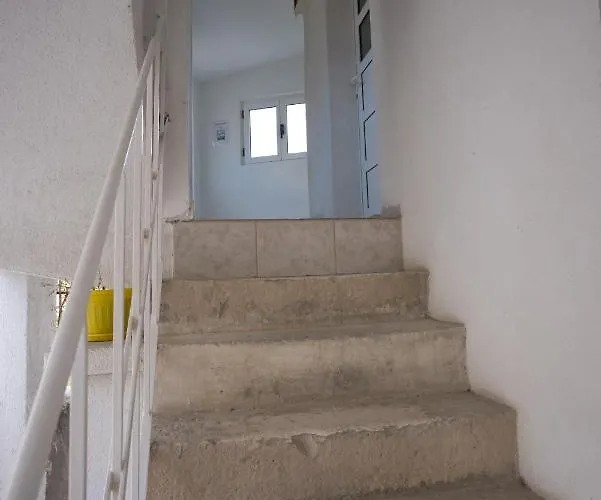 Apartment Fly Split