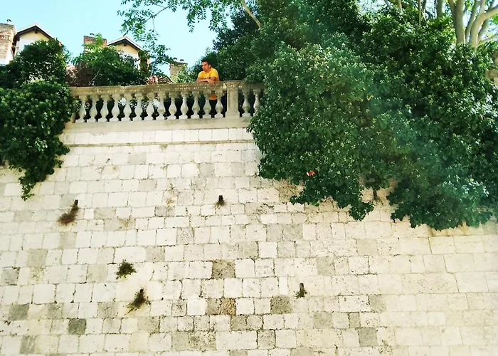 Garden In The Center Apartment Split