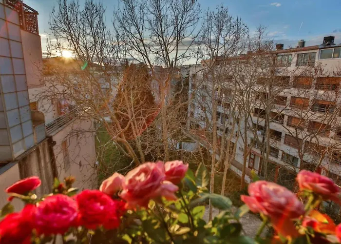 Bel Canto Split