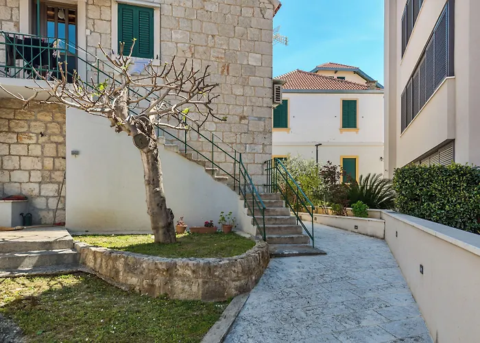 Funky Donkey Apartment Split