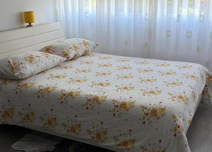 Apartment Siesta Split