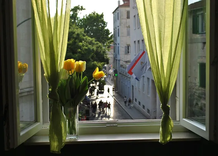 Optimist Split/City Center