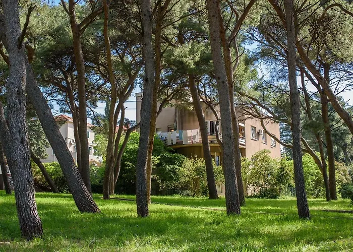 Best Location Apartments Split